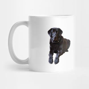 Labrador Retriever Dog Puppy Black Mug